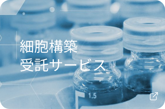 細胞構築受託サービス