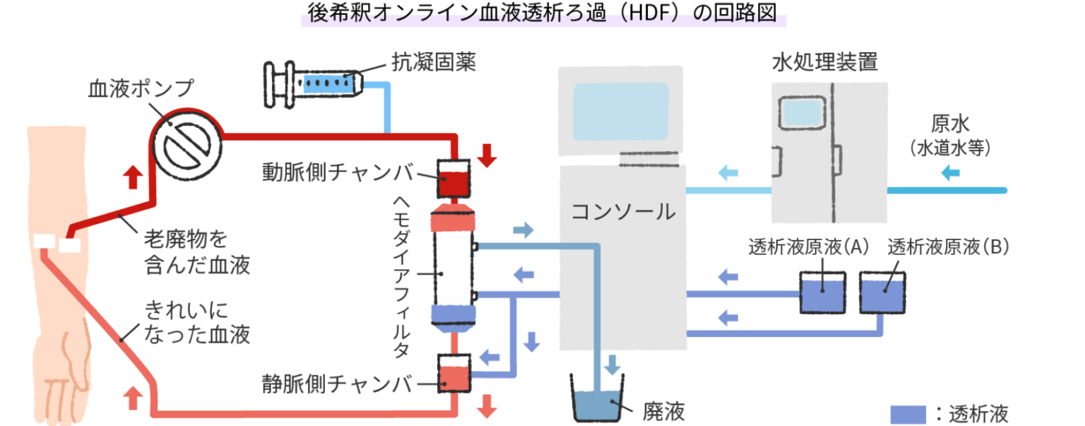 透析患者におけるリンの出納とPi負荷Hd _ 透析患者のリンの濃度 – OFVR