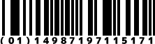 (01)14987197115171