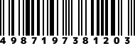 4987197381203