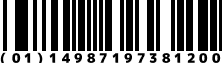(01)14987197381200