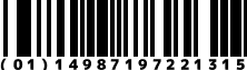 (01)14987197221315