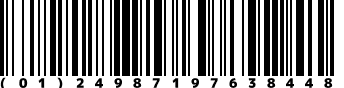 (01)24987197638448