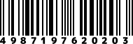 4987197620203