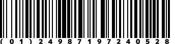 (01)24987197240528
