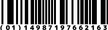 (01)14987197662163