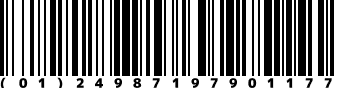 (01)24987197901177