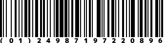 (01)24987197220896