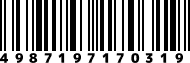 4987197170319