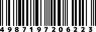 4987197206223