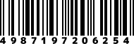 4987197206254