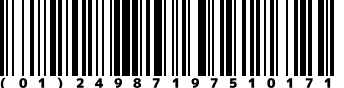 (01)24987197510171