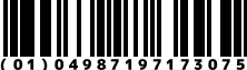 (01)04987197173075