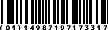(01)14987197173317