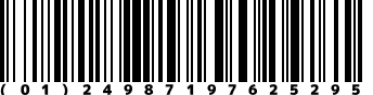 (01)24987197625295