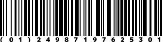 (01)24987197625301