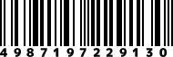 4987197229130