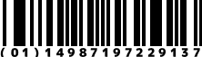 (01)14987197229137