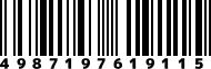 4987197619115