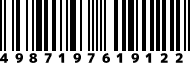 4987197619122