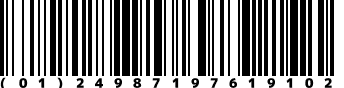 (01)24987197619102