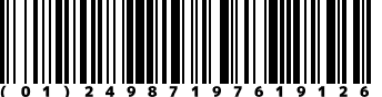 (01)24987197619126